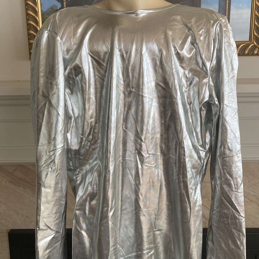 Silver Suit - Picture 2 of 10